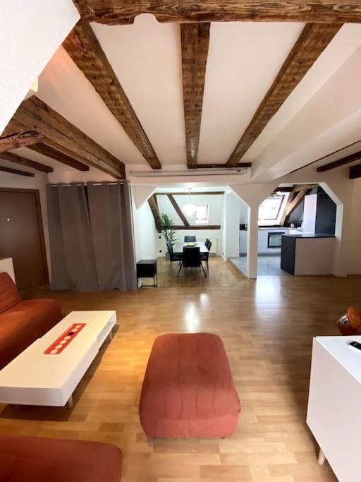Appartement Le Schongauer En Hypercentre *