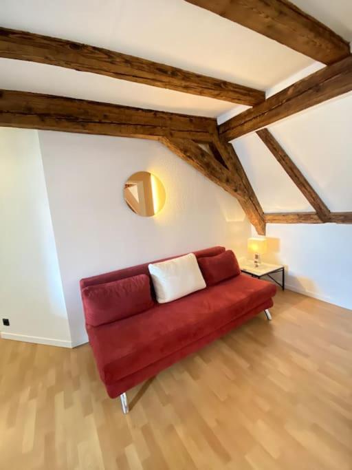 Appartement Le Schongauer En Hypercentre