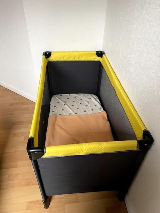 Le Schongauer En Hypercentre Appartement Colmar